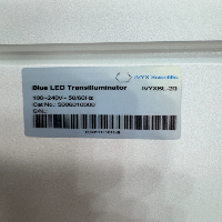IVYX Blue LED Transilluminator image 3